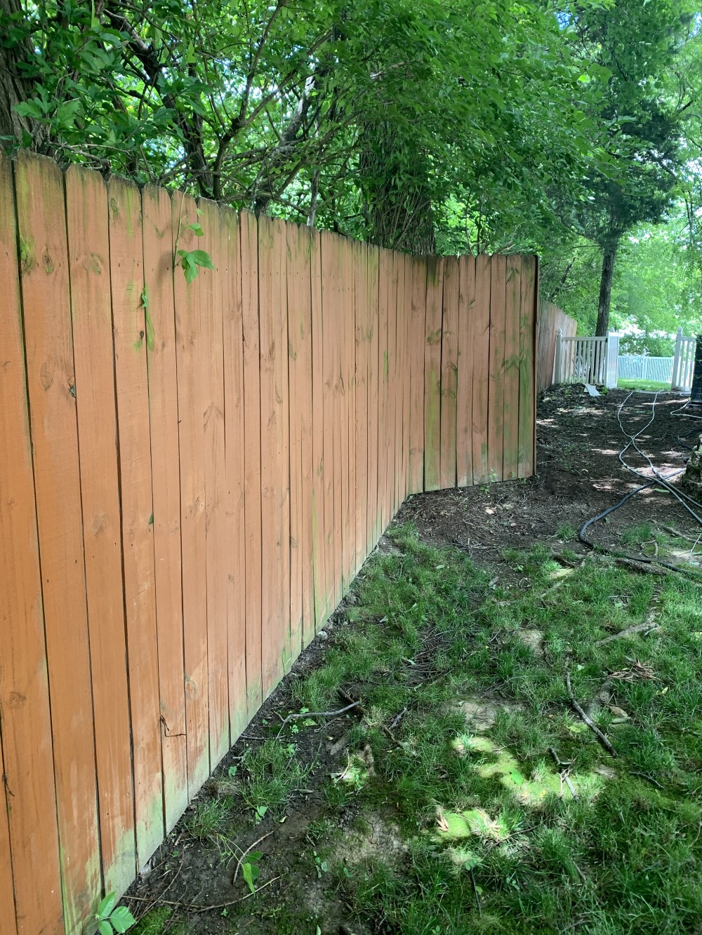 Fence clean paint fenton