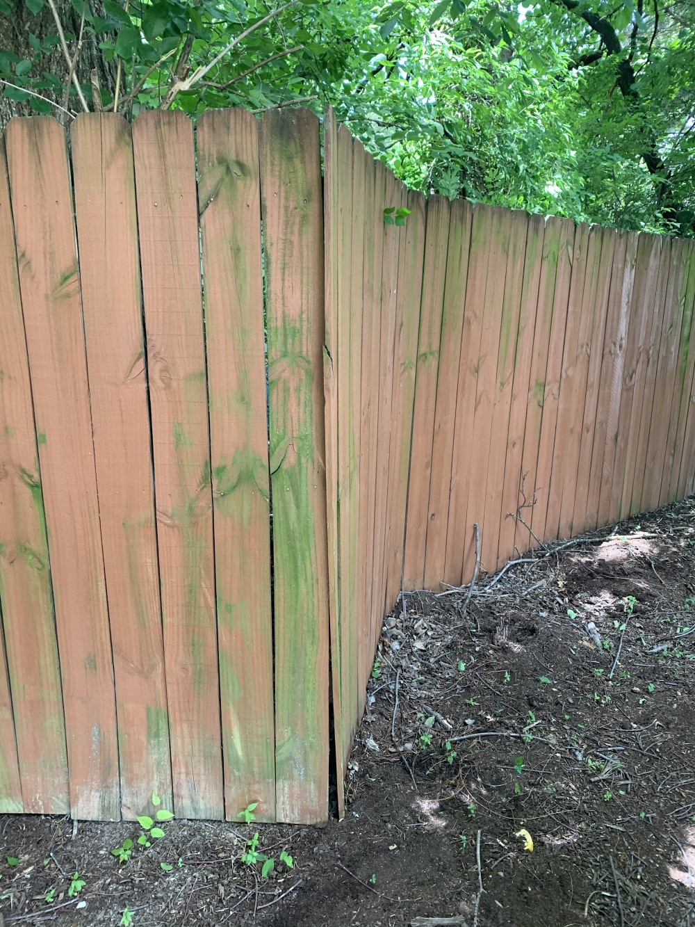 Fence clean paint fenton