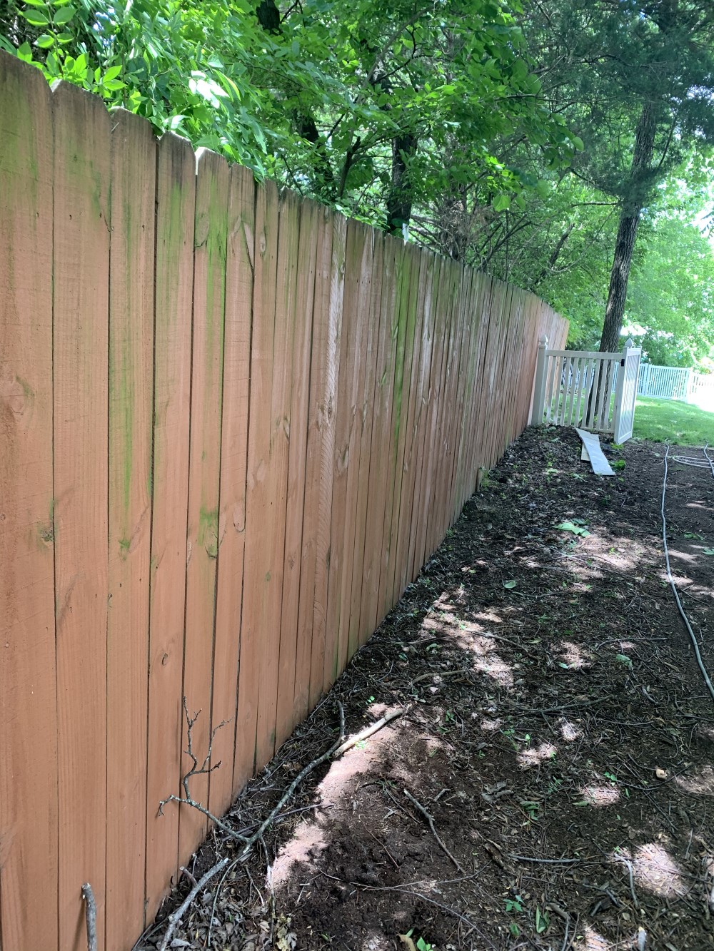 Fence clean paint fenton